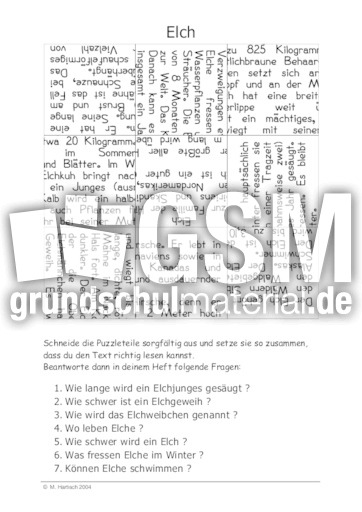 Elch.pdf
